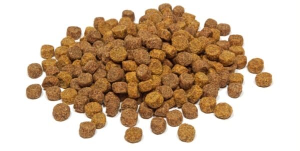 Alligator Food For Sale