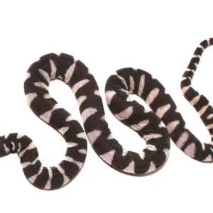 Marine File Snake For Sale